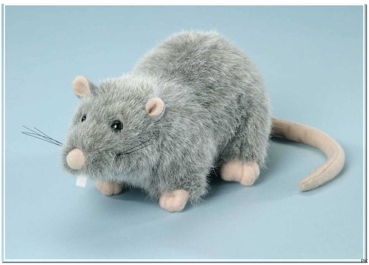 WWF Ratte Rat 20cm Plüschtier Stofftier 