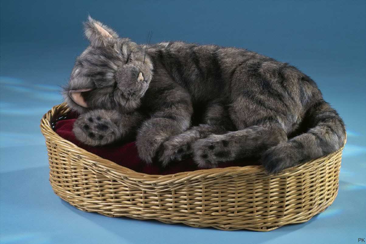 Niedliche Plüschtier Plüsch Katze Sitzt im Korb Stofftier Kuscheltier 